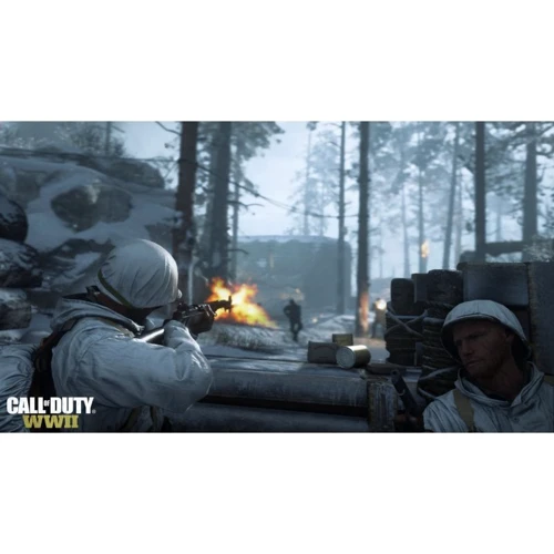 Call Of Duty: WWII (PS4): Серія приставки PlayStation 4