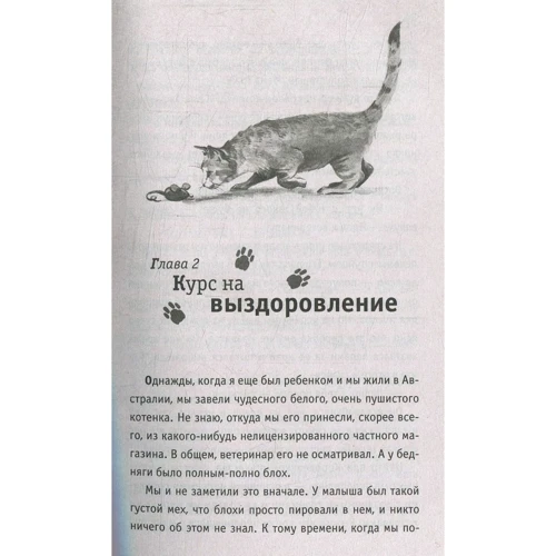 Джеймс Боуен: Боб - незвичайний кіт: ISBN 978-5-386-10743-7