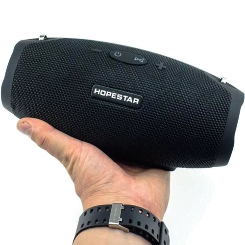 Акустика Hopestar H26 Mini Black: Тип портативна