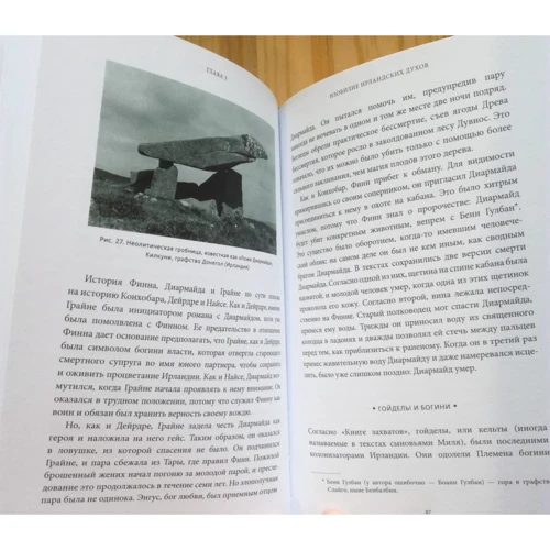 Миранда Олдхаус-Грин: Кельтские мифы. От короля Артура и Дейрдре до фейри и друидов: ISBN 978-5-00169-430-4