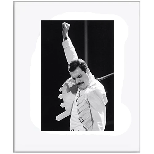 Картина и коллаж Картина Salvadori Arte Freddy Mercury 31х26 см (SE301W4532*)