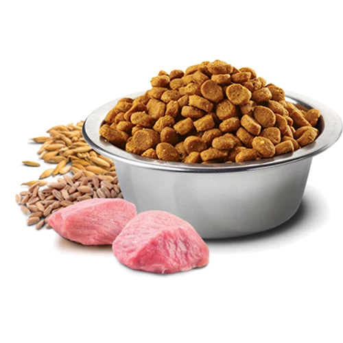 Сухой низкозерновой корм Farmina N&D Tropical Selection для взрослых собак мелких пород с ягненком и тропическими фруктами 5 кг (177883): Тип Сухой корм