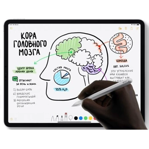 Apple iPad Pro 11" Wi-Fi 256GB Space Gray 2018 (MTXQ2) Approved Витринный образец: Производитель Apple