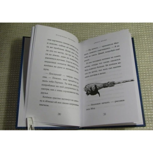 Джилл Мерфи: Испорченное заклинание: ISBN 978-5-699-92505-6