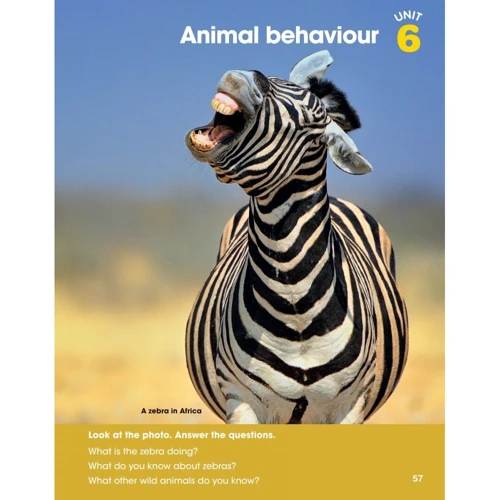 Look 3: Student's Book: ISBN 9781337710916