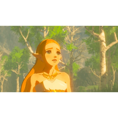 Legend of Zelda: Breath of the Wild (Nintendo Switch): Серія приставки Nintendo Switch
