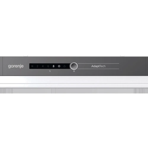 Встраиваемая морозильная камера Gorenje RI 518 EA1: Объем холодильной камеры, л 301