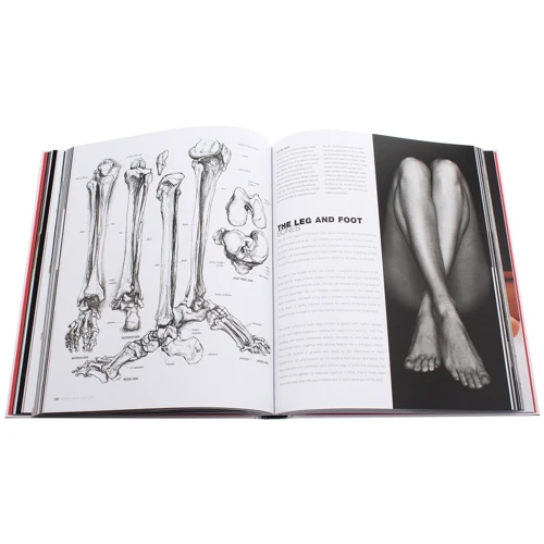 Sarah Simblet: Anatomy for the Artist: Производитель DK