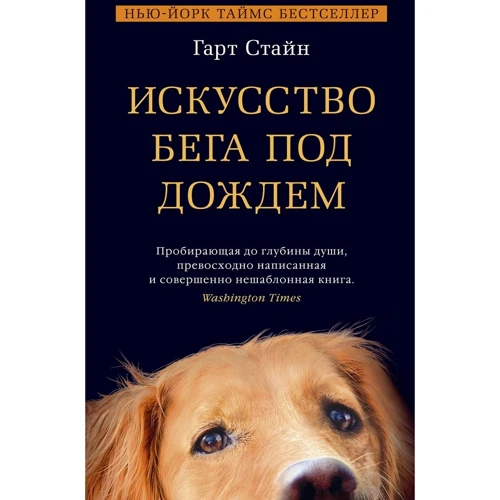 Гарт Стайн: Искусство бега под дождем