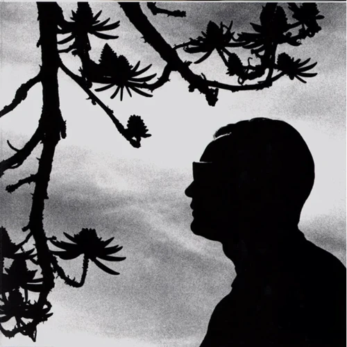LP2 I-DI Depeche Mode: Playing The Angel (LP0050) фото 2