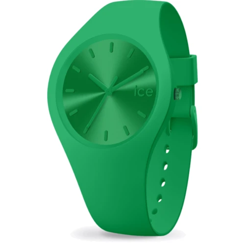 Наручные часы Ice-Watch 017907