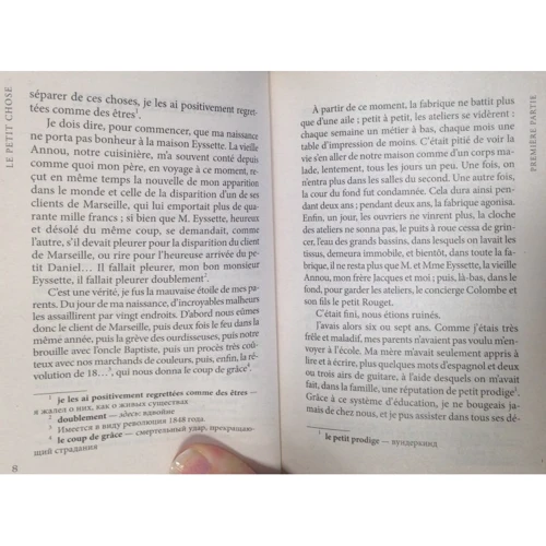 Alphonse Daudet: Le Petit Chose: Кількість сторінок 384