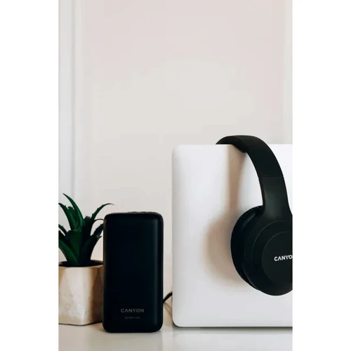 Внешний аккумулятор Canyon Power Bank 30000mAh PD 20W Black (CNE-CPB301B): Емкость батареи, мАч 30000