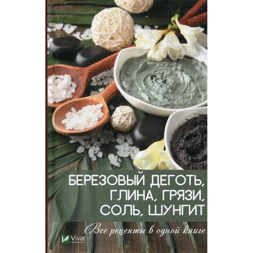 Елизавета Коняева: Березовый деготь глина грязи соль шунгит. Все рецепты в одной книге