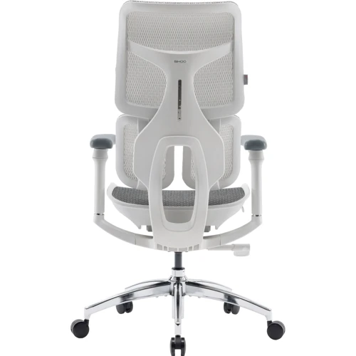 Офисное кресло Sihoo DORO S100 Mesh White (S100-M302)