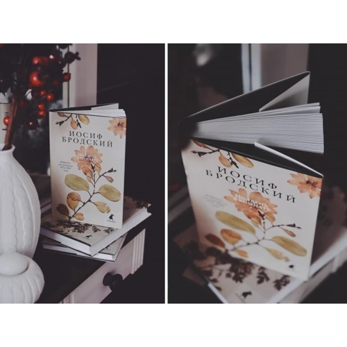 Полдень в комнате: ISBN 978-5-4453-1004-4