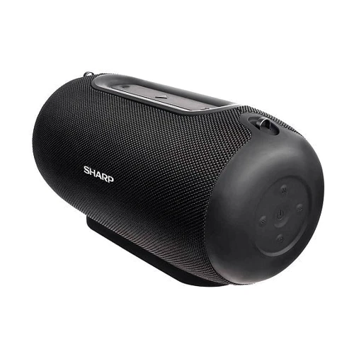 Акустика Sharp GX-BT480 Black: Тип портативна