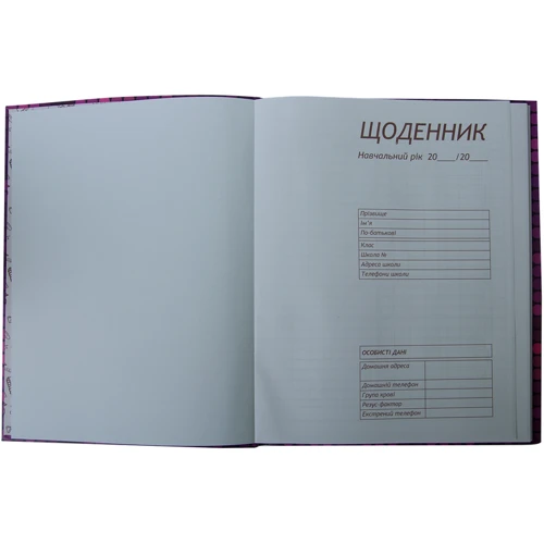 Щоденник шкільний ZiBi ROAD, В5, 40л (ZB.13760-14): Виробник ZiBi