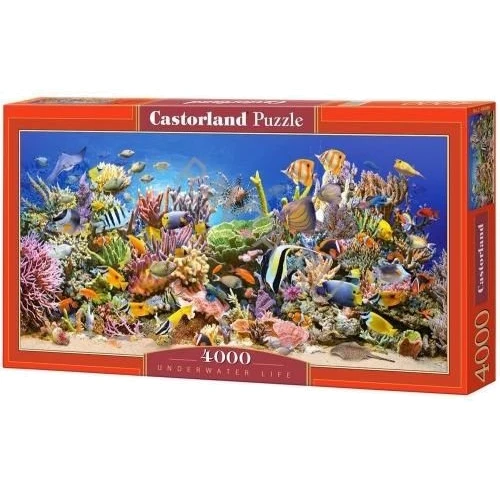 Пазлы Castorland 4000 Подводная жизнь С-400089: Производитель CASTORLAND