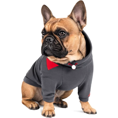 Худи Pet Fashion Snoodie S серая (4823082423330): Размер животного Маленькие