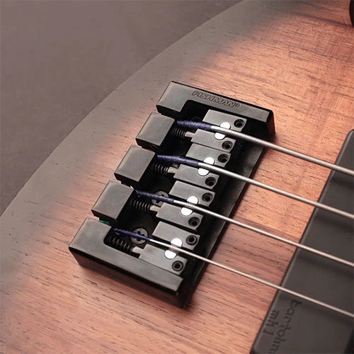 Бас-гітара CORT B4FL MHPZ (Open Pore Trans Black Burst): Кількість струн 4