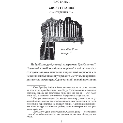 Леопольд фон Захер-Мазох: Трагедія Трояндової алеї. Єврейські історії: Обложка Интегральная