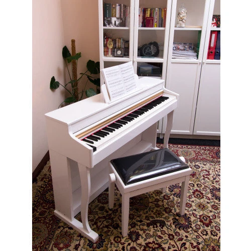 Цифровое пианино Alfabeto Concertino (White): Вид Со стойкой