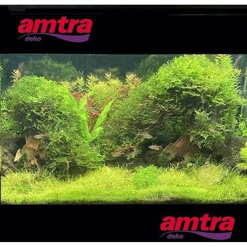 Декорация Amtra Oriental Wind-2 Коряга 22х10х15 см (A8147650) фото 1