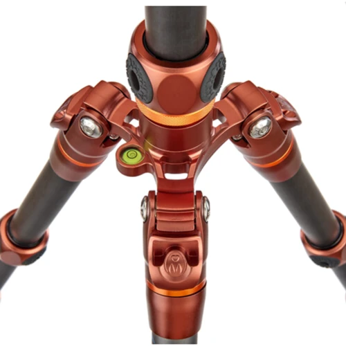 3 Legged Thing Legends Ray Bronze + чехол ( RAYKIT )