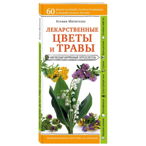 Лекарственные цветы и травы. Наглядный карманный определитель