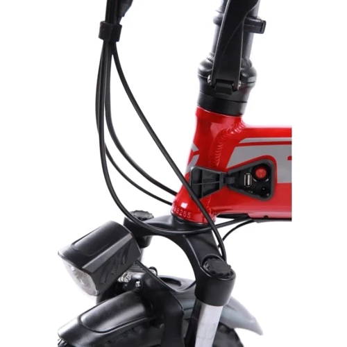 Электровелосипед TAILG Cool Time Red: Допустимая нагрузка, кг 120