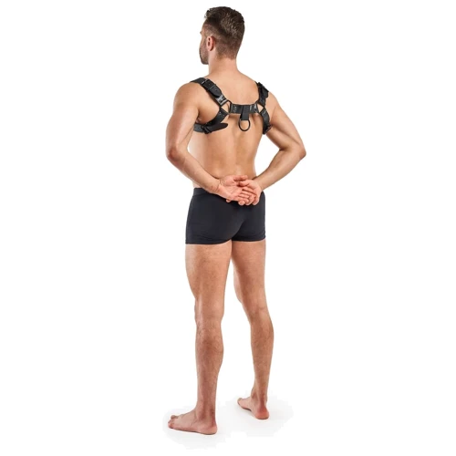 Портупея Bedroom Fantasies Bruno Chest Bulldog Harness - Black