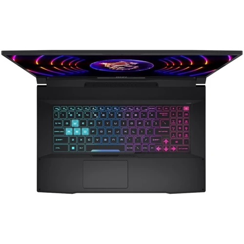 Ноутбук MSI Katana 17 B13V (B13VEK-1261XPL): Экран 17,3" (1920x1080) FullHD