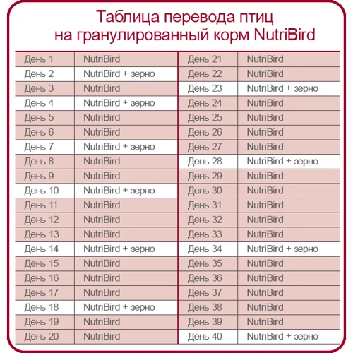 Корм Versele-Laga NutriBird В14 для волнистых и других небольших попугаев 0.8 кг (56411): Вид корма Обычный