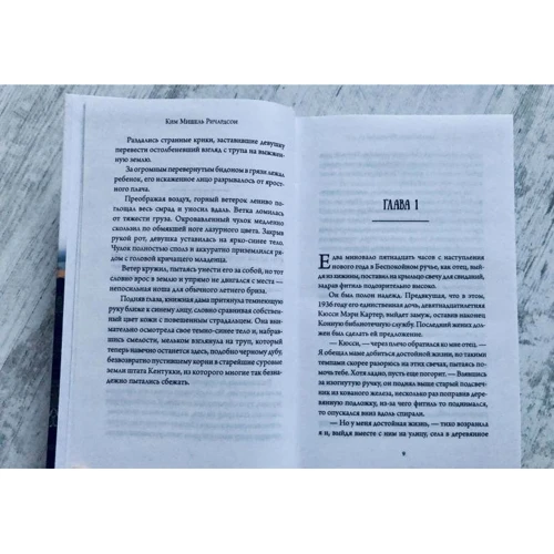 Ким Ричардсон: Книжная дама из Беспокойного ручья: Обложка Твердая