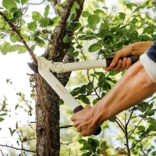 Сучкорез Fiskars White L32 (1026930): Тип веткорезы