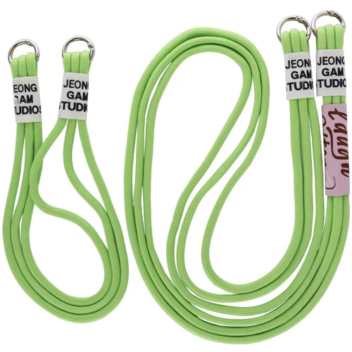 Чехол для iPhone TPU Case two straps California Light Green for iPhone 12 Pro Max: Тип аксессуара чехол