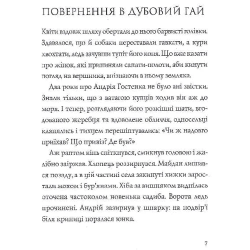 Наталія Довгопол: Витязь і Вірлиця: Обложка Твердая