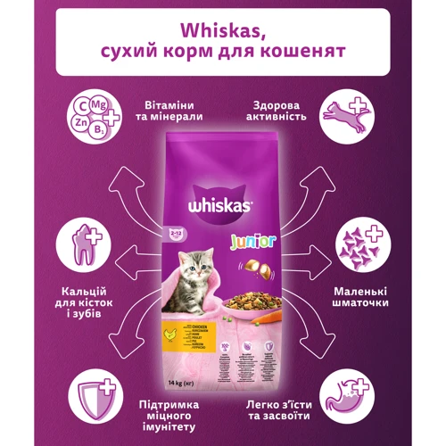 Сухий корм для кошенят Whiskas з куркою 14кг (5900951014369): Тип Сухий корм