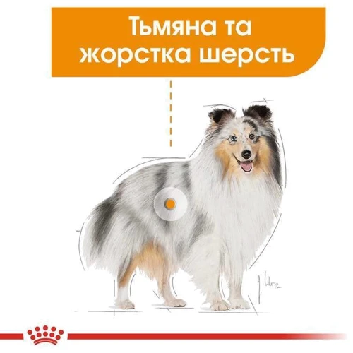 Сухой корм Royal Canin Coat Care Adult для собак мини пород с тусклой и сухой шерстью 1кг (1220010): Вес упаковки 1 кг