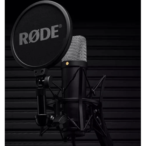 Микрофон RODE NT1GEN5B: Тип Вокальные