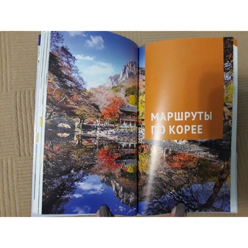 Наталія Ні: Південна Корея. Путівник з картою фото 6