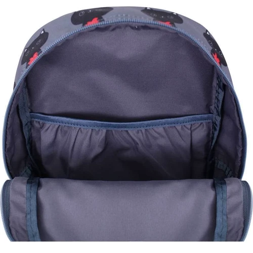 Рюкзак Bagland Молодежный mini 8 л. сублимация 750 (00508664): Тип Для средней школы