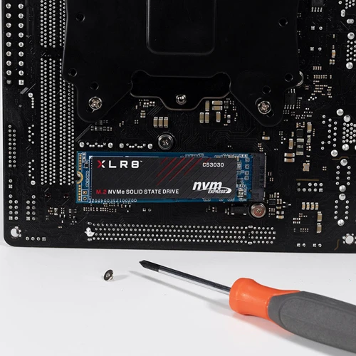 PNY CS3030 1 TB (M280CS3030-1TB-RB): Форм-фактор M.2
