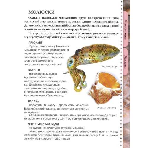 Животні. Енциклопедія для допитливих: Виробник Талант