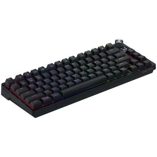 Клавиатура Hator Icefall Pro Wireless/Bluetooth/USB Black (HTK450UA) UA