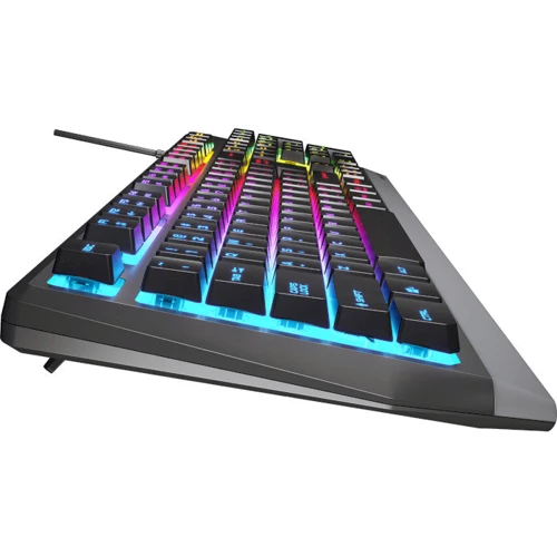 Клавиатура Genesis Rhod 300 RGB (NKG-1823): Количество клавиш 104