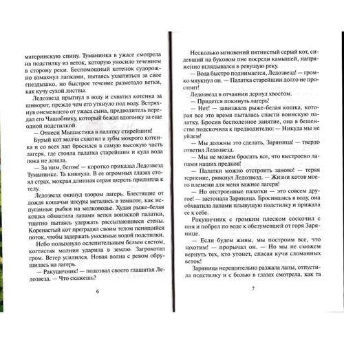 Эрин Хантер: Коты-воители. Обещание Метеора. Книга 1. Западня: Обложка Твердая