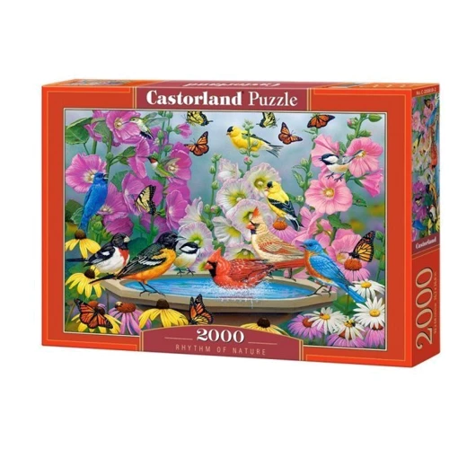 Пазлы Castorland 2000 Ритм природы C-200818: Производитель CASTORLAND