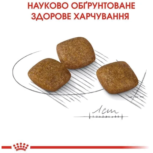Сухой корм Royal Canin Mini Relax Care Adult для собак малых пород, чувствительных к изменениям среды 1кг (1224010): Свойства Поддержка нервной системы, Основное питание